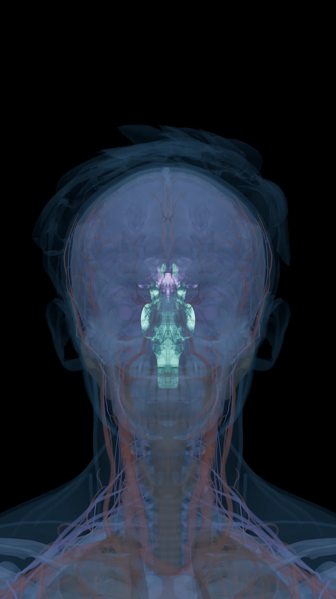 DSIP in the Body