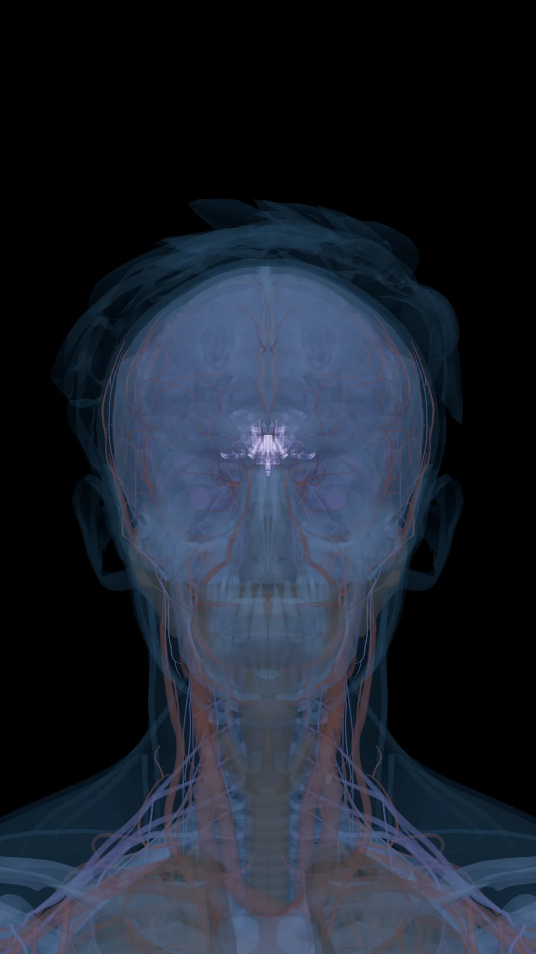 Epithalon in the Body