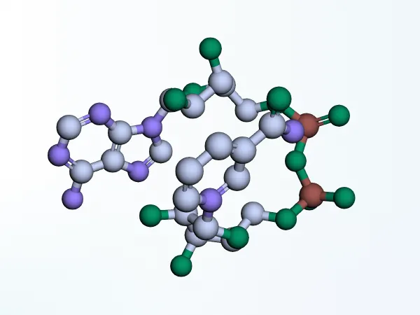 NAD⁺ molecule preview